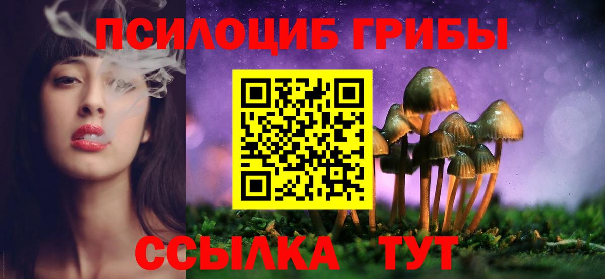 Сосновый Бор  Галлюциногенные грибы Psilocybe  Вход с VPN 