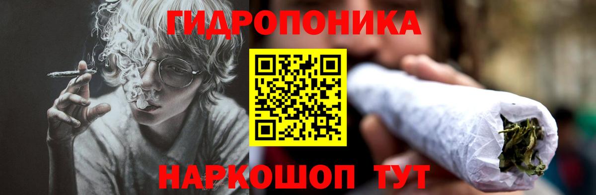 Канабис ГИДРОПОН Сосновый Бор